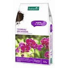 Terreau orchidées botanic - 4 L - BOTANIC® - Botanic à Vitry-sur-Seine Terreau orchidées botanic - 4 L - BOTANIC® en promo chez Botanic Vitry-sur-Seine à 4,94 €