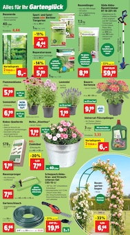 Blumen im aktuellen Thomas Philipps Prospekt (Jena) Blumen im Thomas Philipps Prospekt "Top Angebote" mit 15 Seiten (Jena)