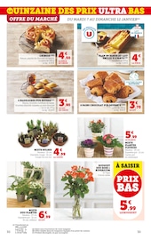 Plantes Angebote im Prospekt "LA QUINZAINE DES PRIX ULTRA BAS" von Super U auf Seite 30