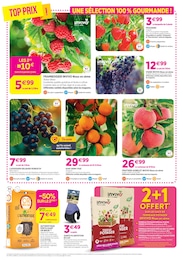 Prix et réduction Gobelet dans le prospectus Delbard en cours Offre Gobelet dans le catalogue Delbard du moment à la page 6