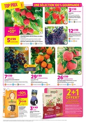 Promos Kaki dans le catalogue "Chez nous les bonnes affaires c'est toute l'année" de Delbard à la page 6 Promos Kaki dans le catalogue "Chez nous les bonnes affaires c'est toute l'année" de Delbard à la page 6