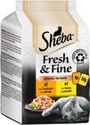 Fresh & Fine Truthahn & Huhn oder Fresh & Fine Lachs Angebote von Sheba bei REWE Kempten für 2,19 €