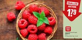 Himbeeren im REWE Prospekt Himbeeren von REWE Beste Wahl im aktuellen REWE Prospekt für 1,79 €