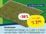 Kunstrasen Angebote bei ROLLER Krefeld für 7,99 €
