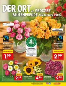 Blumen im Netto Marken-Discount Prospekt "Aktuelle Angebote" mit 54 Seiten (Mönchengladbach)