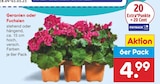 Angebot im Netto Marken-Discount Bad Wildungen Prospekt Netto Marken-Discount Bad Wildungen Prospekt mit im Angebot für 4,99 €