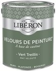 Peinture(1) couleur Velours de peinture - LIBÉRON en promo chez Castorama Saint-Maur-des-Fossés à 49,90 €