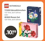 11508 Gänseblümchen bei V-Markt im Prospekt "" für 10,99 €