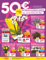 Ähnliche Stiefmütterchen Angebote im Prospekt "Aktuelle Angebote" von Netto Marken-Discount in Hof Ähnliche Angebote wie Stiefmütterchen im Prospekt "Aktuelle Angebote" auf Seite 6 von Netto Marken-Discount in Hof