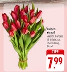 Tulpenstrauß Angebote bei E center Ulm für 7,99 €