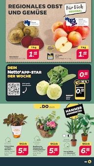 Schnittblumen Angebot im Netto mit dem Scottie Prospekt, gültig von 26.01.2026 bis 31.01.2026 Schnittblumen Angebot im aktuellen Netto mit dem Scottie Prospekt auf Seite 3