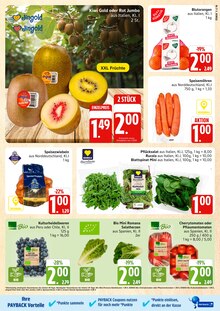 Tomaten im aktuellen E center Prospekt (Rostock) Tomaten im E center Prospekt "Top Angebote" mit 40 Seiten (Rostock)