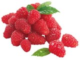 Himbeeren bei REWE im Hosenfeld Prospekt für 1,79 €