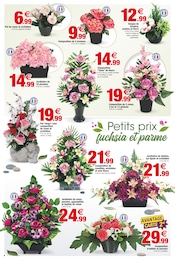 Géranium Angebote im Prospekt "Un Automne à prix tout petits" von Bazarland auf Seite 4