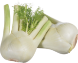 Aktuelles Bio-Fenchel Angebot bei tegut in Mannheim ab 1,49 €