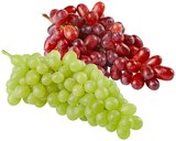 helle Bio Tafeltrauben Angebote von REWE Bio bei REWE Neu-Ulm für 1,69 €
