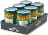 Netto mit dem Scottie Cottbus Prospekt mit  im Angebot für 8,50 €