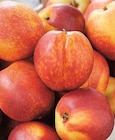 Intermarché Arches - Promo Nectarine jaune et/ou blanche Promo Nectarine jaune et/ou blanche à 2,59 € dans le catalogue Intermarché à Arches