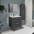 Meuble a suspendre l. 60 cm gris "aruna" en promo à 55,00 € chez Brico Dépôt Meuble a suspendre l. 60 cm gris "aruna" dans le catalogue Brico Dépôt