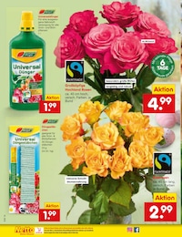 Netto Marken-Discount Gartenpflege im Prospekt 