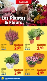 Offre Fleur En Pot dans le catalogue Lidl du moment à la page 28