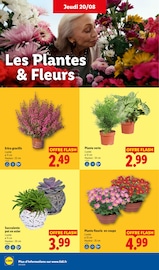 Prospectus Lidl "La rentrée des économies !" en cours à Mulhouse, Page 28 Catalogue Lidl en cours à Mulhouse, "La rentrée des économies !", Page 28