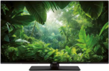 UHD-Fernseher TB-43W60AEZ bei expert im Lemgo Prospekt für 379,00 €