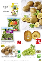 Ähnliche Kürbis Angebote im Prospekt "Aktuelle Angebote" von E center in Göppingen Ähnliche Angebote wie Kürbis im Prospekt "Aktuelle Angebote" auf Seite 5 von E center in Göppingen