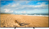 OLED TV K-55XR84PAEP Bravia 8 im Angebot bei expert in Wallenhorst OLED TV K-55XR84PAEP Bravia 8 Angebote von Sony bei expert Wallenhorst für 1.149,00 €