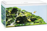 Aquarium Aqua 60 LED im Angebot bei Hellweg in Falkensee Aquarium Aqua 60 LED Angebote bei Hellweg Falkensee für 64,99 €