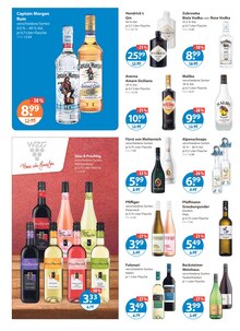 Gin im V-Markt Prospekt "V-Markt einfach besser einkaufen" mit 22 Seiten (Regensburg)