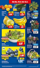 Aktueller Lidl Prospekt mit Blumen, "LIDL LOHNT SICH", Seite 3