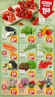 Salat im REWE Prospekt "Dein Markt" mit 16 Seiten (Mannheim)