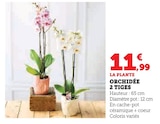 Orchidée 2 Tiges en promo chez Super U Quimper à 11,99 €