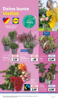 Blumentopf im Lidl Prospekt "LIDL LOHNT SICH" mit 59 Seiten (Karlsruhe)