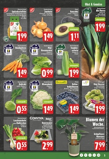Kartoffeln im aktuellen E center Prospekt (Remscheid) Kartoffeln im E center Prospekt "Aktuelle Angebote" mit 32 Seiten (Remscheid)