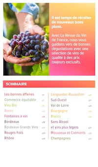 Prospectus Carrefour Market de la semaine "FOIRE AUX VINS : LE GUIDE DES BONS PLANS" avec 2 pages, valide du 11/03/2025 au 23/03/2025 pour Vinon-sur-Verdon et alentours