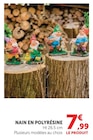 Nain en polyrésine en promo chez Super U Rennes à 7,99 €