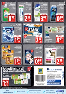 Felix Katzenfutter im aktuellen EDEKA Prospekt (Lübeck) Felix Katzenfutter im EDEKA Prospekt "Top Angebote" mit 24 Seiten (Lübeck)