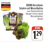 Aktuelles Salatrio mit Wurzelballen Angebot bei EDEKA in Dresden ab 1,29 €