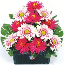 Jardinière de tockios - Carrefour Market à Lille Jardinière de tockios en promo chez Carrefour Market Lille à 14,99 €