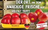 Aktuelles Äpfel Evelina Angebot bei Netto Marken-Discount in Reutlingen