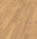 Laminat 7.0 Wild Essence Oak Angebote von SKANDOR bei Hornbach Potsdam für 19,83 €