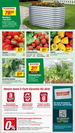 Aktueller toom Baumarkt Prospekt mit Tomaten, "Respekt, wer's selber macht.", Seite 2