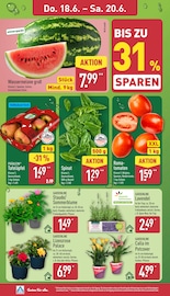 Aktueller ALDI Nord Prospekt mit Lavendel, "Aktuelle Angebote", Seite 30