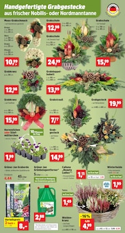 Blumen im Thomas Philipps Prospekt "Top Angebote" mit 15 Seiten (Oberhausen)