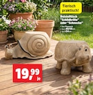 Schildkröte oder Schnecke im aktuellen Thomas Philipps Prospekt