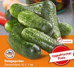 Einlegegurken im Netto Marken-Discount Prospekt Einlegegurken im aktuellen Netto Marken-Discount Prospekt für