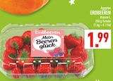 Erdbeeren Angebote von Mein Beerenglück bei Marktkauf Bad Salzuflen für 1,99 €