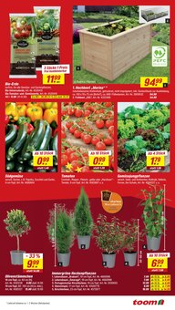 Paprika im toom Baumarkt Prospekt "Respekt, wer's selber macht." mit 14 Seiten (Magdeburg)